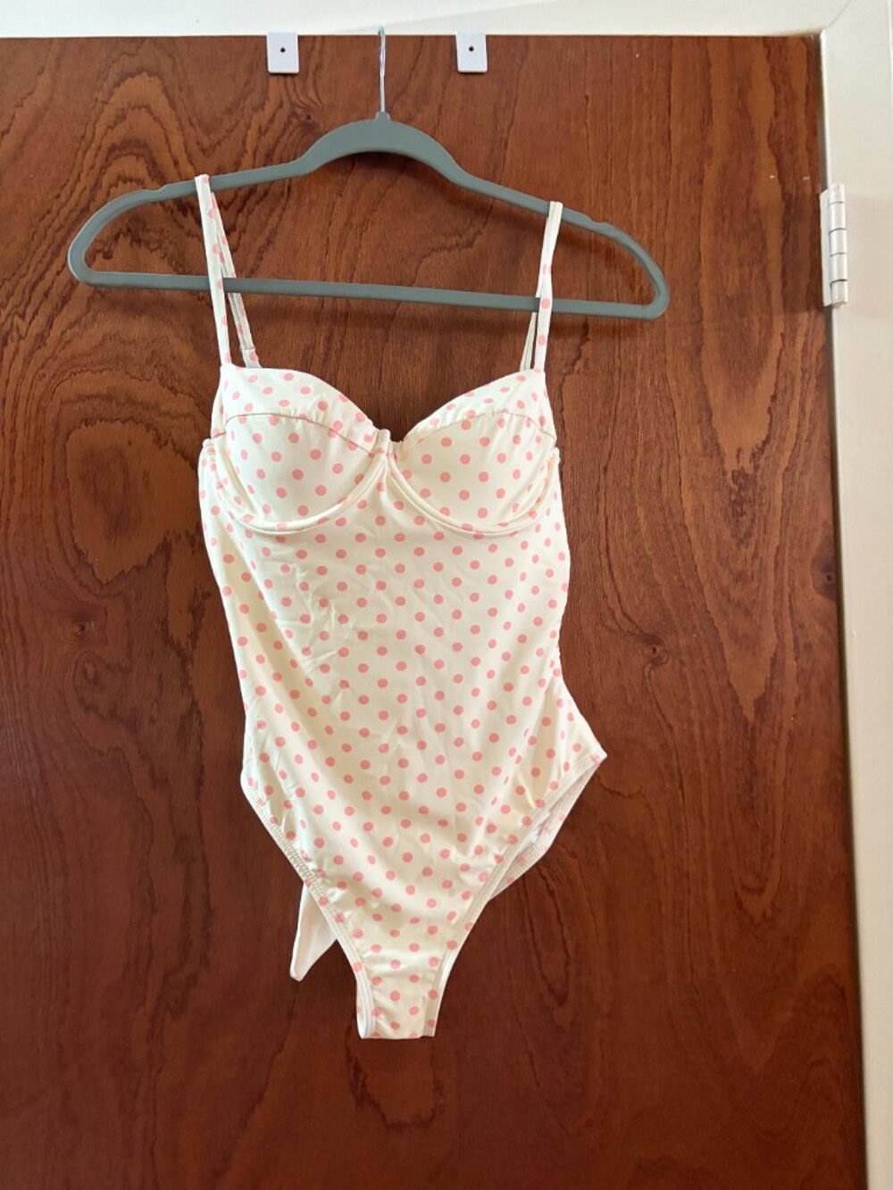 Dippin' Daisy's One Piece Swimsuit